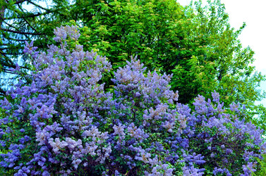 Similar image 22230788