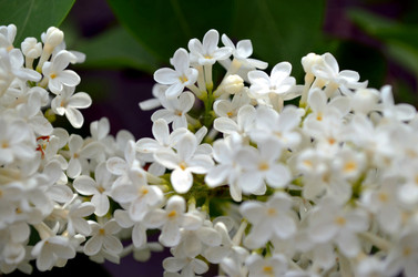 Similar image 22230789