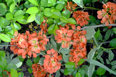 Similar image 22230790