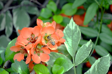 Similar image 22230791