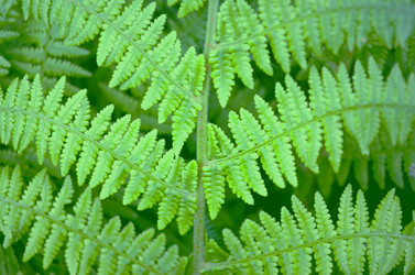 Similar image 22230847