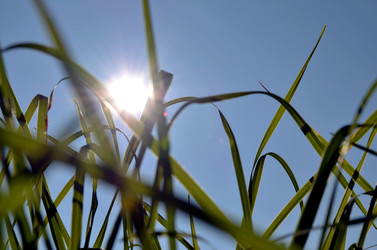 Similar image 22230794