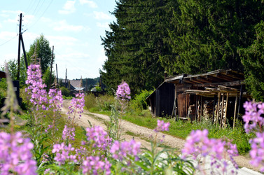 Similar image 22230797