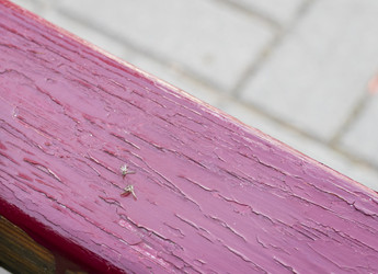 Similar image 22233277