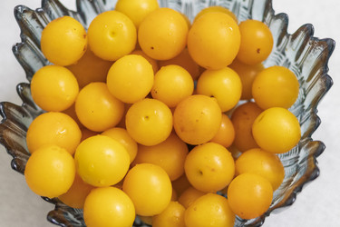 Similar image 22233279