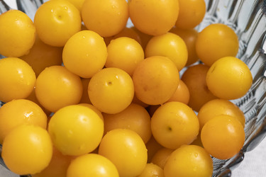 Similar image 22233282