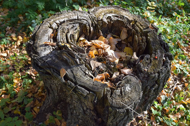 Similar image 22230800