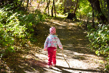 Similar image 22231075