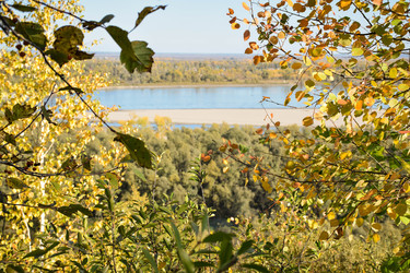 Similar image 22230802