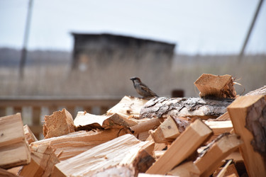 Similar image 22230808