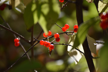 Similar image 22230809