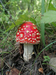 Similar image 22230810