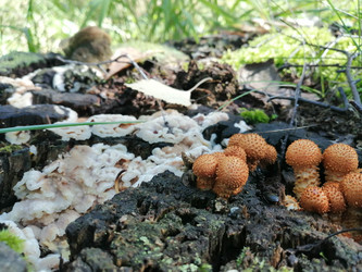 Similar image 22230811