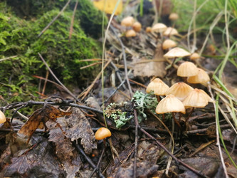 Similar image 22230813