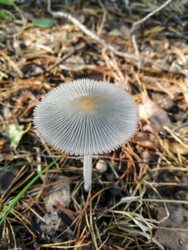 Similar image 22230814