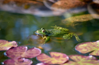 Similar image 22230817