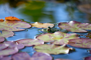 Similar image 22230819