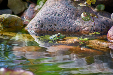 Similar image 22230820