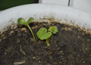 Similar image 22230822