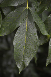 Similar image 22230828