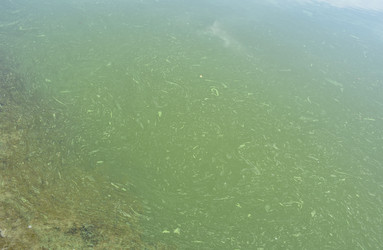 Similar image 22230832