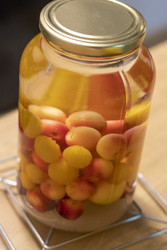 Similar image 22257846