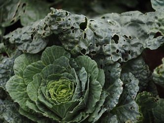 Similar image 22231122