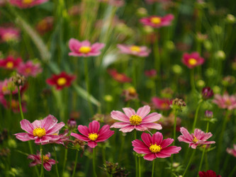 Similar image 22231123