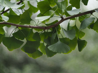 Similar image 22231125