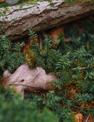 Similar image 22231126