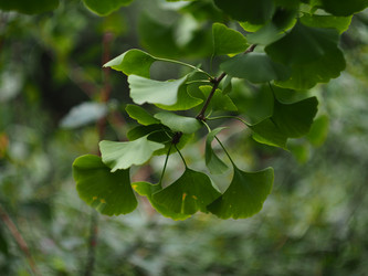 Similar image 22231127