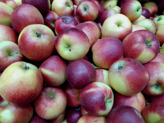 Similar image 22231447