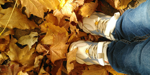 Similar image 22231449