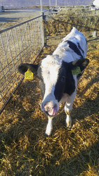 Similar image 22231450