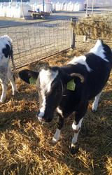 Similar image 22231451