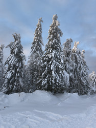 Similar image 22231139