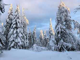 Similar image 22231140