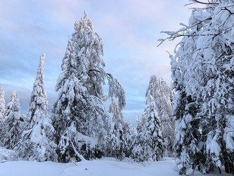 Similar image 22231141