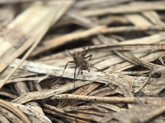 Similar image 22231143