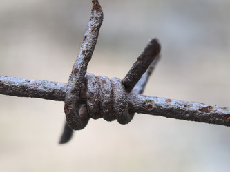 Similar image 22231144