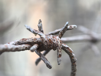 Similar image 22231145