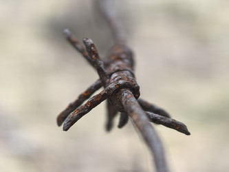 Similar image 22231146