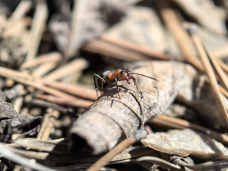 Similar image 22231147