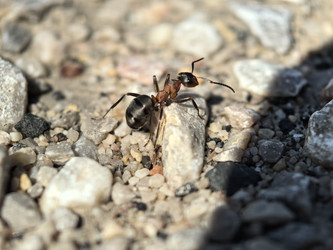 Similar image 22231148