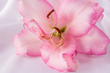 Similar image 22231156