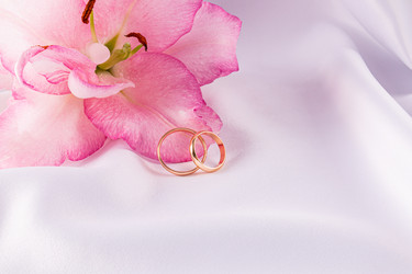 Similar image 22231157