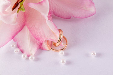 Similar image 22231158