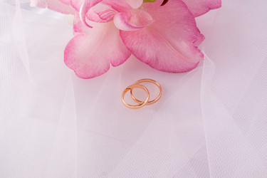 Similar image 22231159