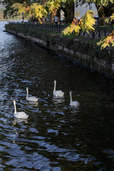 Similar image 22231169