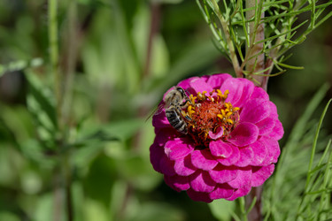 Similar image 22231170